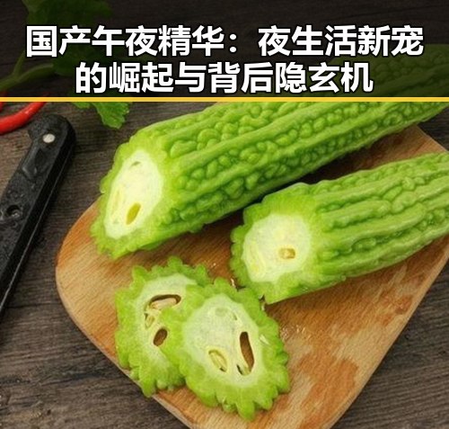 国产午夜精华:夜生活新宠的崛起与背后隐玄机