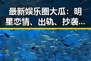 最新娱乐圈大瓜:明星恋情、出轨、抄袭、代言坑货与税务风波一网打尽!