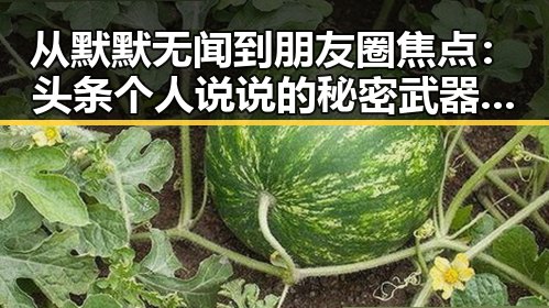 从默默无闻到朋友圈焦点：头条个人说说的秘密武器🤫✨