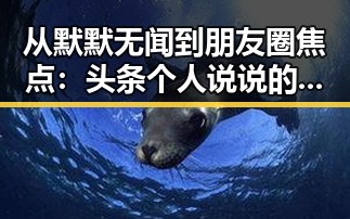 从默默无闻到朋友圈焦点:头条个人说说的秘密武器🤫✨